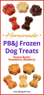 Fun Homemade Frozen Dog Treat Recipes Frozen Dog Treats Homemade Frozen Dog Treats Peanut Butter Dog Treats