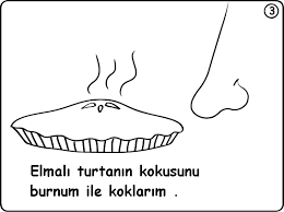 Duyu Organlari Panosundaki Pin