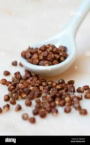 Image result for Aframomum zambesiacum