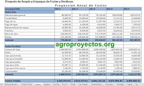 Costos Fijos Y Variables Definicion Y Ejemplos Agroproyectos Contaduria Y Finanzas Administracion De Proyectos Sociedades Mercantiles