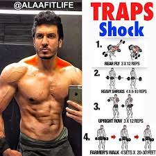 Pin By Mserwis On Training Traps Workout Workout Programs Shoulder Workout