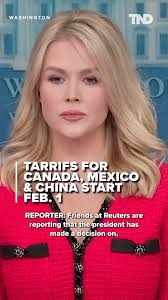 White House Press Secretary Karoline Leavitt said that President Donald  Trump's comments about the Army Helicopter that collided with an American  Airlines passenger plane in D.C. were based