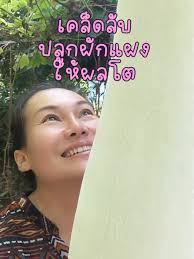 The trick of planting a latent pod gives the big effect of the uncle next  door.