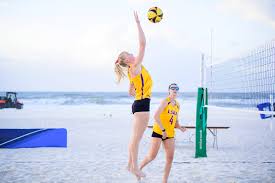 Image result for Deverra burchellii