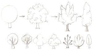 هوايات فنية تعلمي طريقة رسم الشجرة رسم اوراق الشجر tree drawing drawings manga tutorial