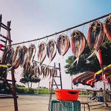 instagram 上的台南の観光 一頁干 一夜干 虱目魚 濱海 漁村 人氣 人気 台南 文青風 人氣 パン 日常 life 台湾 観光 台湾旅行 台南旅行 tainan tainantravel taiwan 日常 グルメ 観光スポット 大人 formosa tainan outdoor