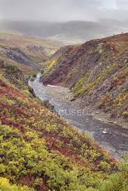 The park is accessible from the dempster highway, a 737km dirt road to inuvik (nwt) and the arctic circle. Mountain Creek In Foggy Tombstone Territorial Park Yukon Territory Canada Colorful Non Urban Scene Stock Photo 200725698