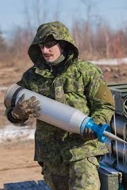 C Squadron The Royal Canadian Dragoons During The Leopard 2 Crew And Commander Course In Gagetown New Bruns Canadian Army Royal Canadian Navy Canadian Forces