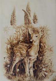 Ahsap Yakma Tablo Yavru Ceylan Jpg Drawing By Nrl Artmajeur