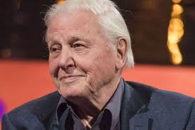 Бибиси сака да ја сними Планета Земја III пред Атенбороу да наполни 100  години