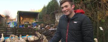 Die gemeinde entstand 1974 aus dem zusammenschluss der beiden orte hamdorf und negernbötel. Ungewohnliches Hobby 16 Jahriger Aus Negernbotel Zuchtet Huhner Rtl Nord
