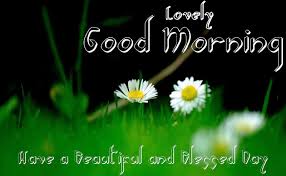 Good Morning Flowers Hd Wallpaper Download High Resolution 4k Wallpaper Over 200 hd 1080p video backgrounds with relaxing nature sounds for study, meditation and sleeping, it will take you to some of. good morning flowers hd wallpaper