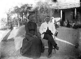 Image result for Nesaea rautanenii