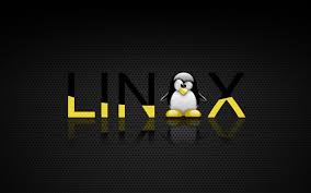 Image result for linux penguin wallpaper