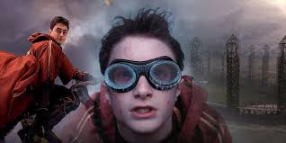 The Harry Potter Movies Completely Cut Out 1 of Harry's Greatest  Achievements (& Fans Would've Loved to See It)