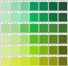 Image Result For Green Pale Pantone Pantone Color Chart