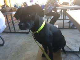 From Unsanitary Conditions to Security Issues, OC's New Homeless Shelter  Needs Work