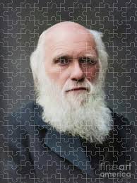 Charles Darwin Jigsaw Puzzles for Sale