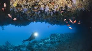 Five Italian divers die in Maldives cave  https://www.sualtigazetesi.com/five-italian-divers-die-in-maldives-cave/ # diving #news #SG #ingilizce Haberler