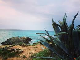Www Sabinarogala Com On Instagram My Place Mallorca Tui Sensimar Capdepera Spain Agave Beach Look View Ocean Sea Blue S Mallorca Ocean Instagram