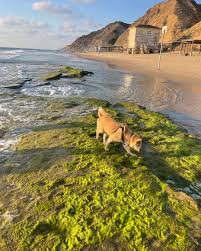 Erez Benami (@benamukee) • Instagram photos and videos