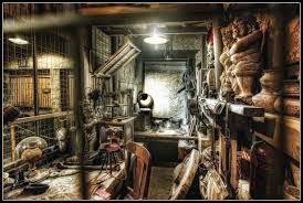 Indy S Office Indiana Jones Room Adventure Decor Adventure Room