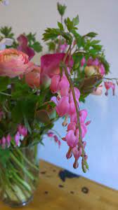 Dicentra Also Known As Bleeding Heart A Lovely Spring Flower For A Valentine S Day Bouquet Valentinesday Londo Spring Flowers Beautiful Roses Bleeding Heart