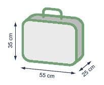Cursele oferite de compania de zboruri air transport tarom presupun ca bagajele de mână ce nu depăşesc o greutate de 10 kg să fie gratuite. Bagaj De Mana Lufthansa