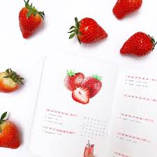 Bullet Journal Weekly Layout Strawberry Drawings Northernplanner Bullet Journal Journal Erdbeeren