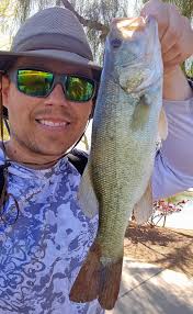 Started stacking them