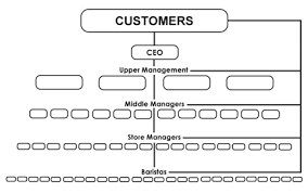 Organizational Chart Of Starbucks Bedowntowndaytona Com