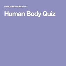 Easy, medium, and difficult, and each gives a different reward for a right answer.easy gives 10 sb, medium gives 15 sb, and difficult gives 20 sb. Human Body Quiz Quiz Questions And Answers Trivia Quiz Questions Pub Quiz Questions