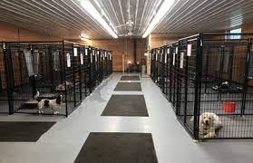 Our boarding facilities are fully equipped to handle dogs of all shapes and sizes. Country Style Dog Boarding And Training Facility Winona Minnesota Mn Prairie Ranch Kennels