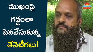 Karnataka: 'హనీ బియర్డ్‌ కుమార్‌'.. ముఖంపై గడ్డంలా పెనవేసుకున్న తేనెటీగలు