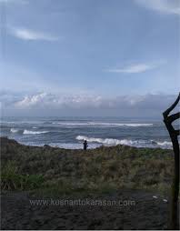 Tts pantai cemara sewu level 50. Pantai Cemara Sewu Bantul Kusnantokarasan Com