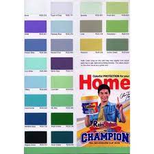 Rain Or Shine Elastomeric Wall Paints 1