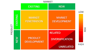 Internal And External Growth Strategies Explained With Examples B2u