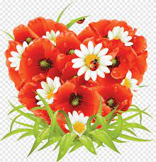 Bouquet 7 petits coquelicots rouge cœur métallisé hauteur 35 cm. Bouquet De Fleurs Rose Coquelicot Arrangement De Fleurs Plante Annuelle Png Pngegg