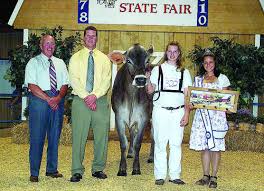 4-H Dairy Breed Winners Named at Maryland State Fair