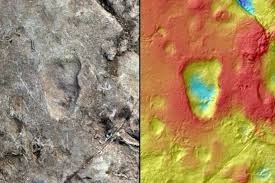Ancient footprints hint at mysterious human relative with a strange walk |  National Geographic