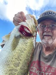 Humpback whale spotted near Shag River today