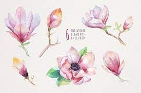 Watercolor Magnolia Flowers Floral Wedding Digital Clip Art Etsy Magnolia Flower Floral Watercolor Art