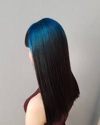 Blue Colored Root Dark Blue Hair Black Ponytail Hairstyles Hair Dye Colors
