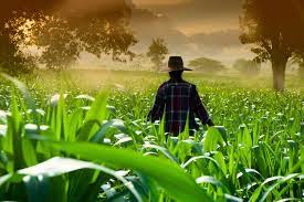 How To Become A Farmer – Farmguests – Agritourism Platform, Be Closer To  Nature