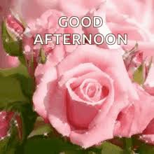 Maybe you would like to learn more about one of these? Good Afternoon Gif Funny Rose Whatsapp Free Download