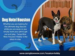 Pin On Dog Boarding Houston