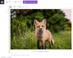 Divi AI par Elegant Themes sur Unsplash