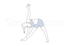 TRIANGLE POSE