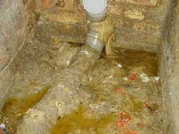 Uberhaupt Nicht Appetitlich Uber Verstopfte Und Gebrochene Ableitungsrohre Und Die Frage Ob Die Gebaudeversicherung Diese Schaden Bezahlt 1st Broker Finanzierungen Geldanlagen Versicherungen