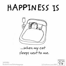 Happiness Is When My Cat Sleeps Next To Me Crazy Cats Cat Sleeping Cat Quotes